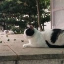 성동구청 뒤편 이미지