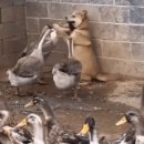 골목길 PC 이미지