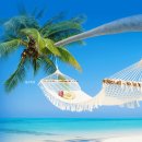 여름아, 부탁해~~ 이미지