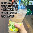 빽다방 아이스라떼 천원 6월 5일 ~ 7일, 3일간 + OK캐시백 30% 할인 네이버페이 캐시백 한 눈에 정리