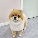 멍했냥 평택본점 이미지
