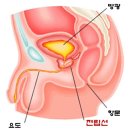 비비한의원 이미지