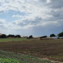 가파리 마을회관 이미지