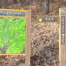 행정동우회 | 모악산 매봉길~꽃길