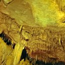 천곡황금박쥐동굴 이미지