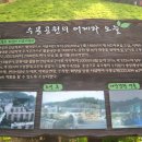 수봉공원 (인공폭포) 이미지