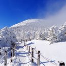 제일컴퍼니