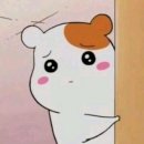 멍구멍구 이미지