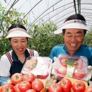 강금자농장 이미지