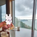 김밥천국(벌교) | 거제도 가족여행 Day 2-3 (외도널서리, 외도 보타니아, 한꼬막 두꼬막, 거제 포로수용소, 통영 중앙시장...