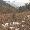 상오안교