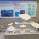 부산해양자연사박물관 이미지