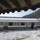송학민박