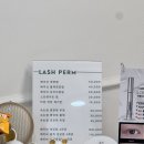 아이베이브래쉬 | 옥련동속눈썹 눈두배커질 수 있었던 아이베이브래쉬