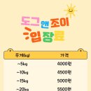 도그 앤 조이 이미지