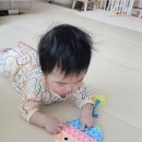 육아매트/ 반려고양이매트 : 내돈내산 층간소음매트 키팡매트충청지사 ( 모션소파+시공매트 사용 후기)
