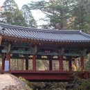 곡성-111 | 곡성 태안사 문화재탐방