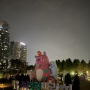 2025 서울국제정원박람회 야간 방문 후기
