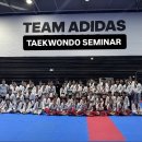 남구미 국가대표 태권도장 | [파주운정 태권도품새 입시,전문] 2026년 대한민국 품새 국가대표 '서채원'선수 세미나