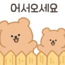 900쌤영어