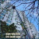 빅뱅센터 | 광주이삿짐센터 빅뱅사다리차와 함께한 이사 경험 후기