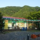 인오캠핑장 Daum카페