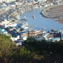 숲쟁이로 이미지