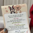 견바라기 이미지