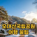 오대산 금빛펜션 | 오대산국립공원 완벽 즐기기! 지킴이 추천 명소와 펜션