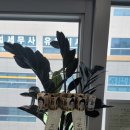 바른메디칼 이미지