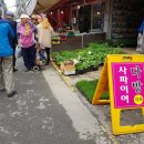 사파이어다방