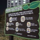 펀펀아트투어