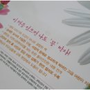 아름다운꽃나라 이미지