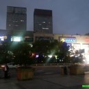일광장 티스토리
