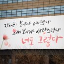 허브홀릭