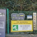 수정4동 골목시장 이미지