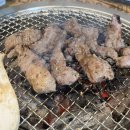 이안숯불갈매기 이미지