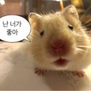 탑골로10길 이미지