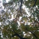 파리바게트 개포행복점 이미지