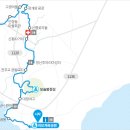 제주 올레길 11코스 | [제주올레길 11코스 완주기] 하모체육공원에서 무릉까지, 곶자왈과 역사길을 잇다