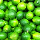 다향화원 이미지