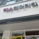 렉스헤어라인 이미지