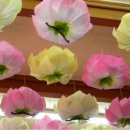 중앙당약국 이미지