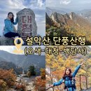 [등산/강원도/인제] 설악산 단풍산행 코스( 오색- 대청-봉정암-백담사) (무박 당일 다음매일산악회)