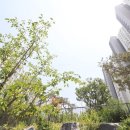 호반킹공인중개사사무소 이미지