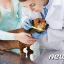 휴동물의료센터 이미지