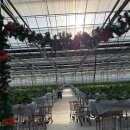 재님농장 | [일산] 다인이네 딸기체험농장, 22개월 아기랑 다녀온 후기