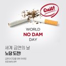 지엔씨 소프트 | [오플 기획전] 금연과 건강을 위한 제품을 확인해보세요! 오플과 함께 노담 도전!