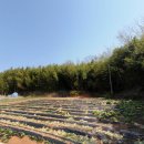 죽전 태양광발전소 이미지