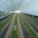 주현3농장 이미지